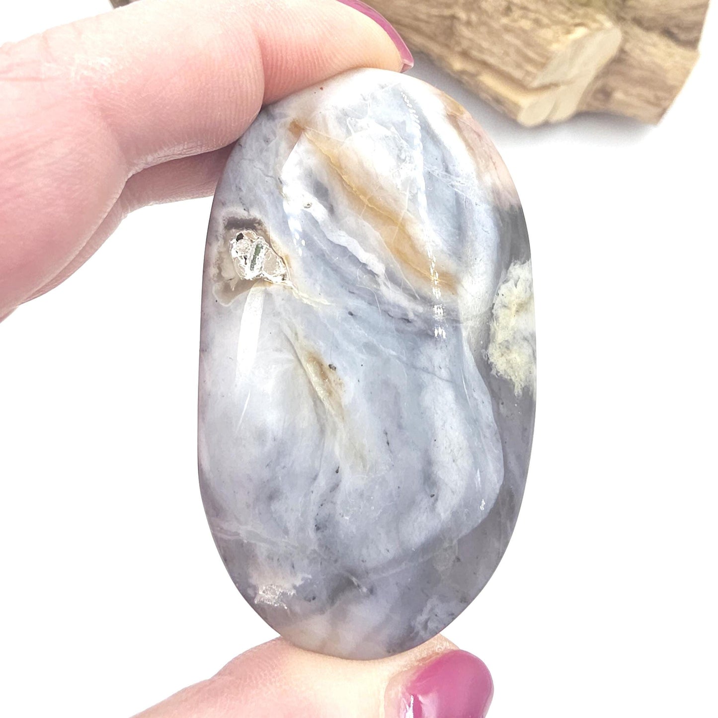Petrified Wood Palm Stone - Grounding & Ancestral Wisdom Crystal - 85g
