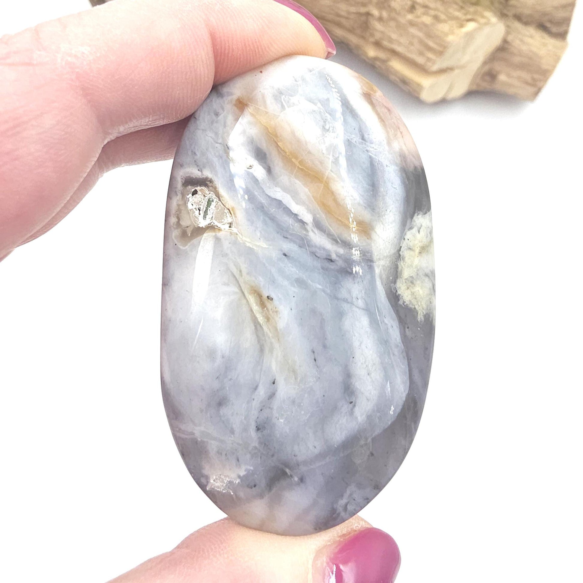Petrified Wood Palm Stone - Grounding & Ancestral Wisdom Crystal - 85g