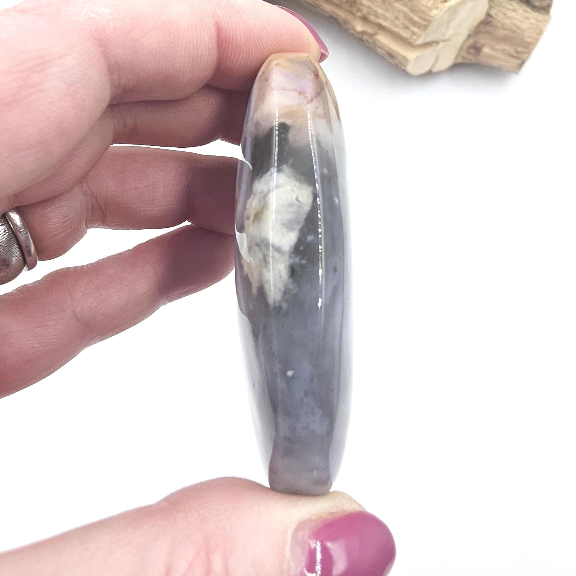 Petrified Wood Palm Stone - Grounding & Ancestral Wisdom Crystal - 85g