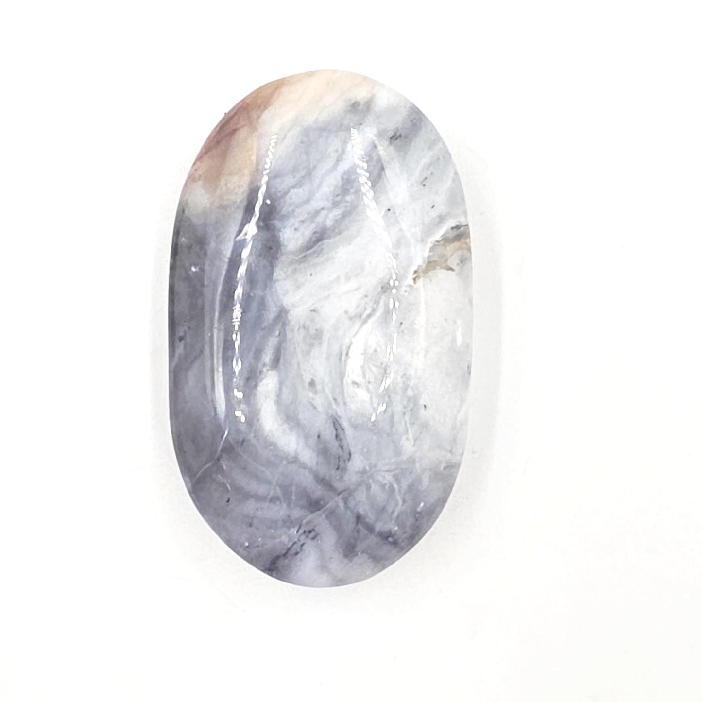 Petrified Wood Palm Stone - Grounding & Ancestral Wisdom Crystal - 85g