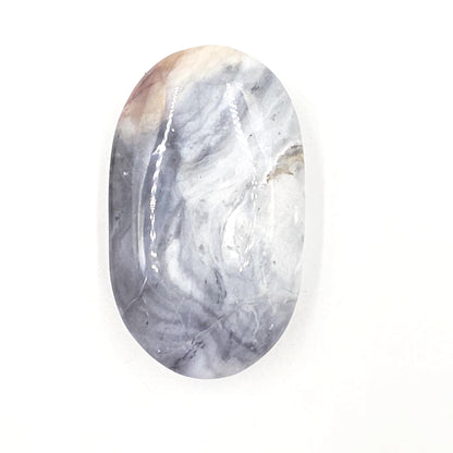 Petrified Wood Palm Stone - Grounding & Ancestral Wisdom Crystal - 85g