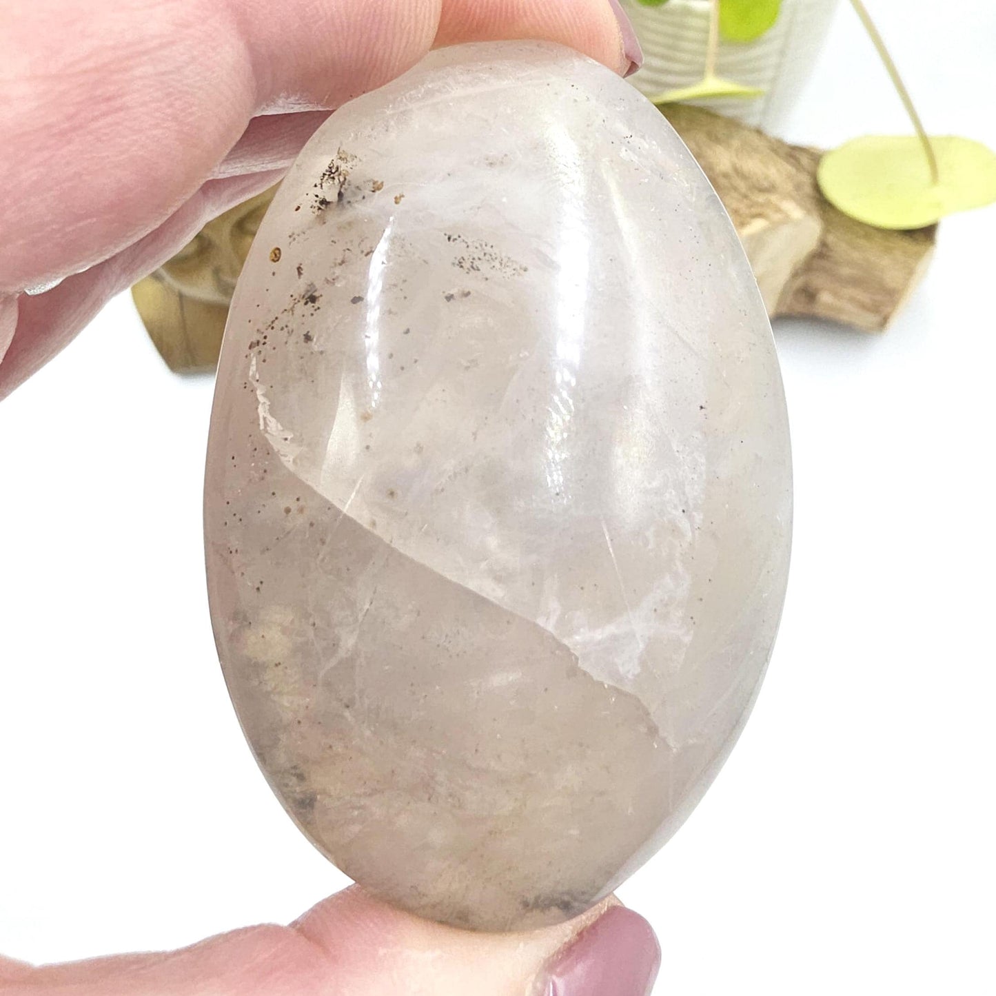 Large Rare Dendritic Quartz Palm Stone – Clarity, Growth and Root & Crown Chakra Crystal, 155g