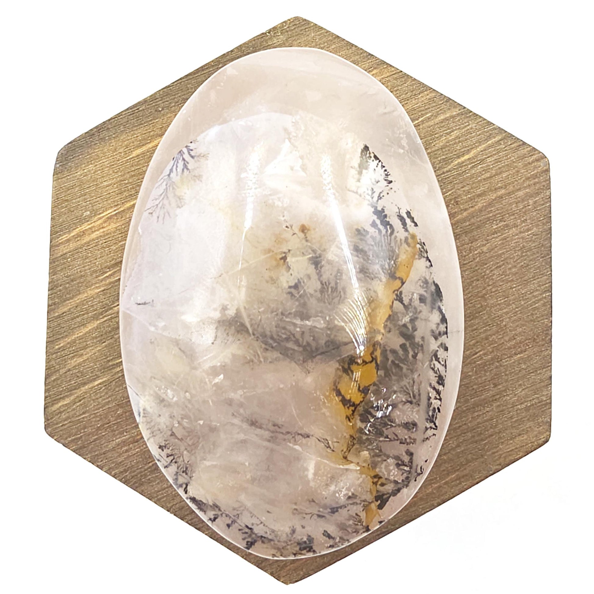Large Rare Dendritic Quartz Palm Stone – Clarity, Growth and Root & Crown Chakra Crystal, 155g