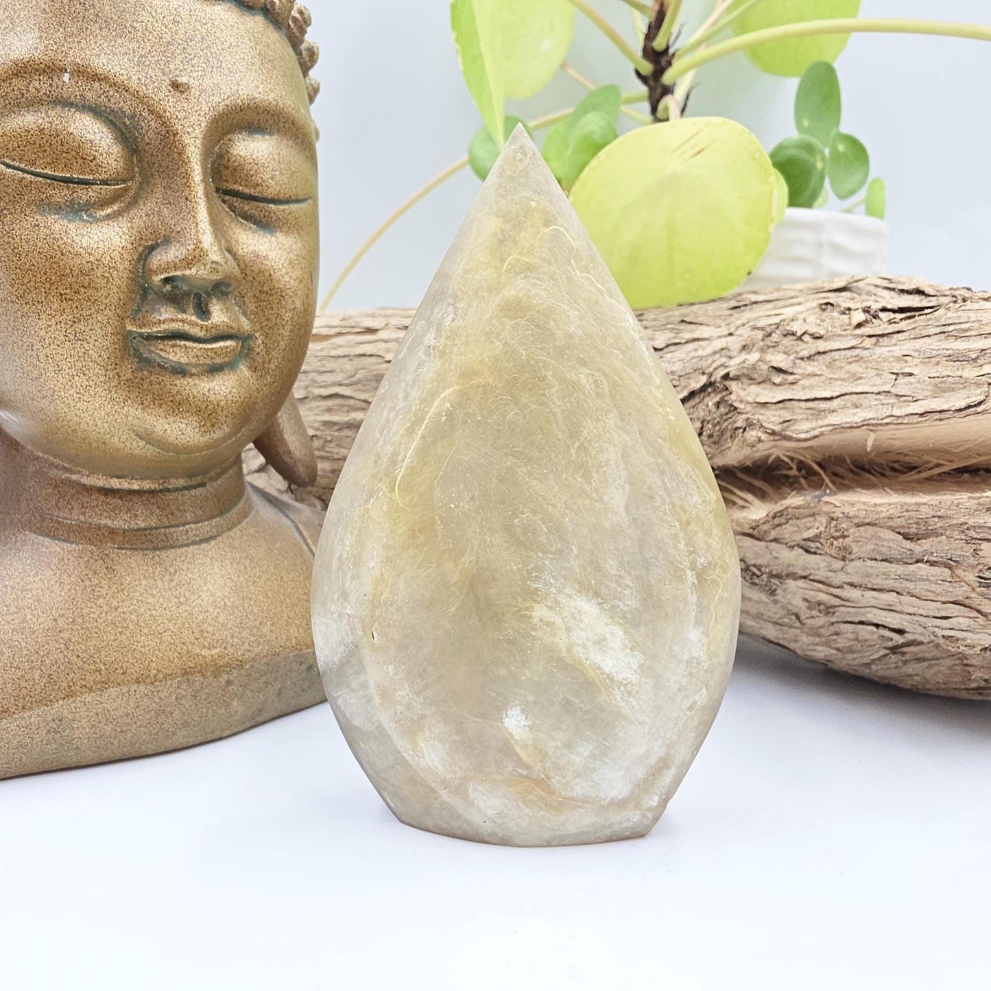 Flashy Golden Mica Muscovite Freeform – Confidence, Clarity & Positive Energy Crystal, 175g