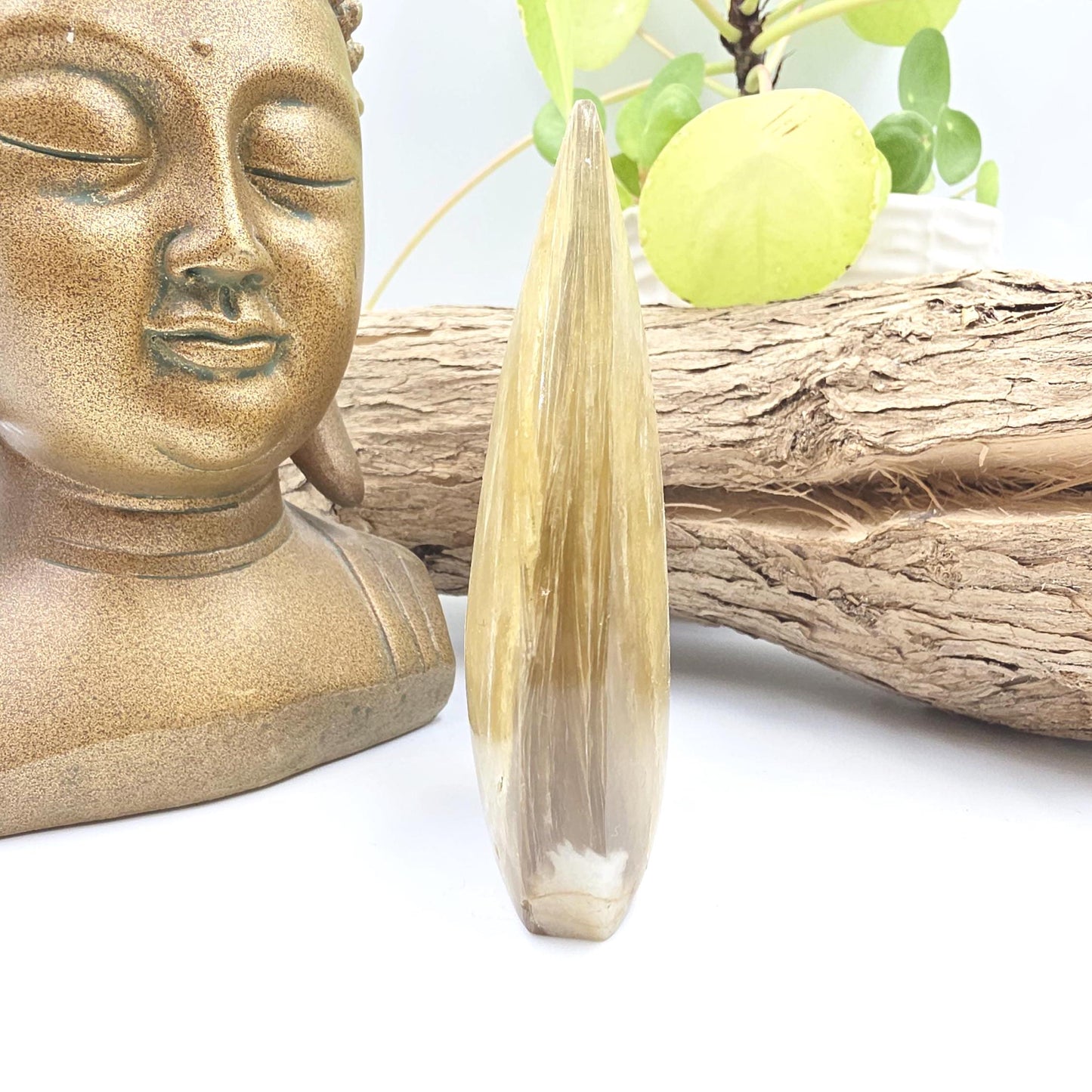 Flashy Golden Mica Muscovite Freeform – Confidence, Clarity & Positive Energy Crystal, 175g