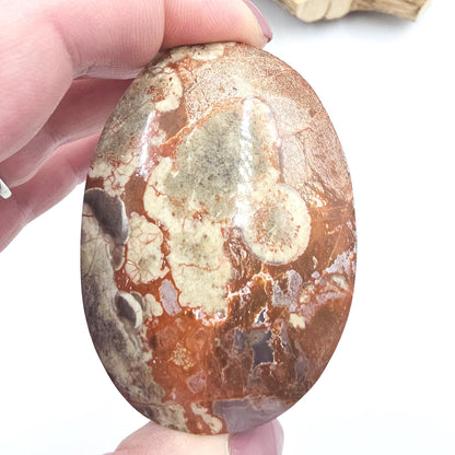 Money Agate Palm Stone – Abundance, Stability & Root Chakra Crystal, 100g