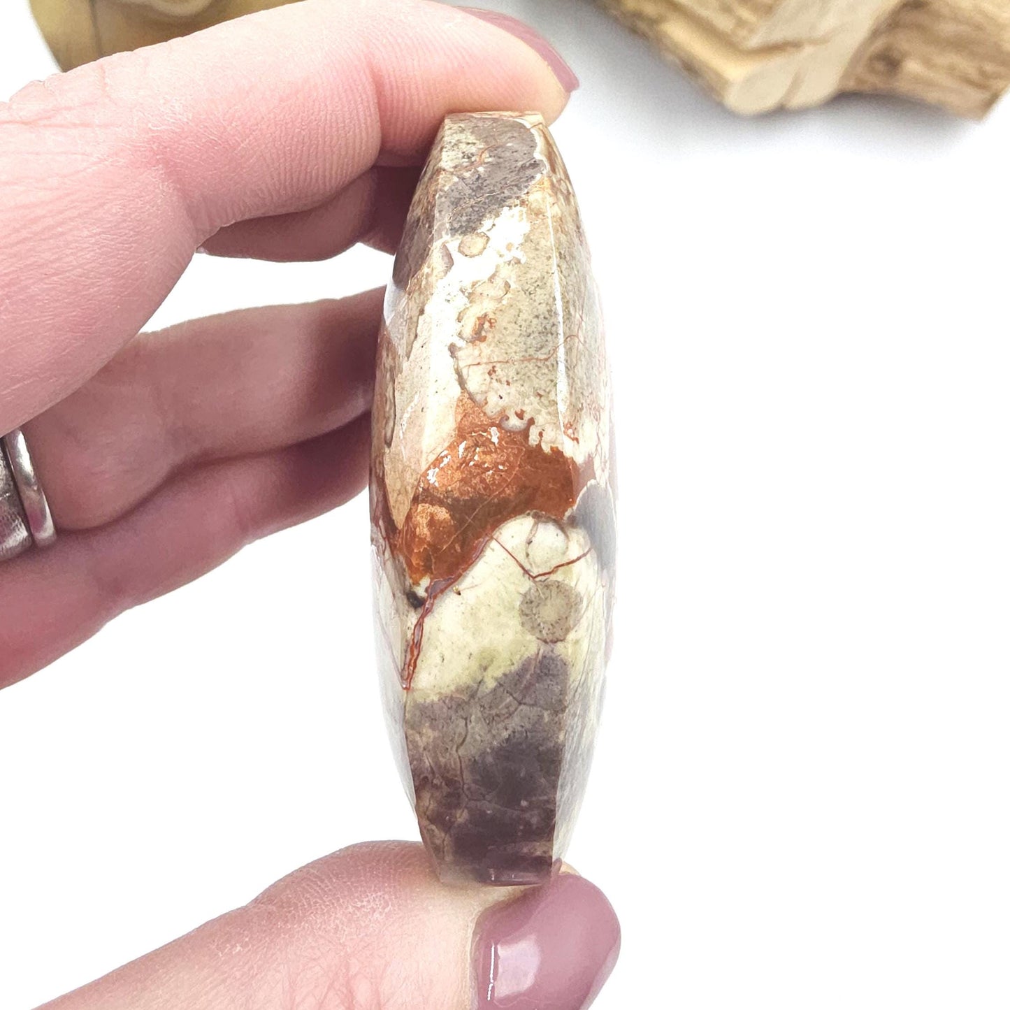Money Agate Palm Stone – Abundance, Stability & Root Chakra Crystal, 100g