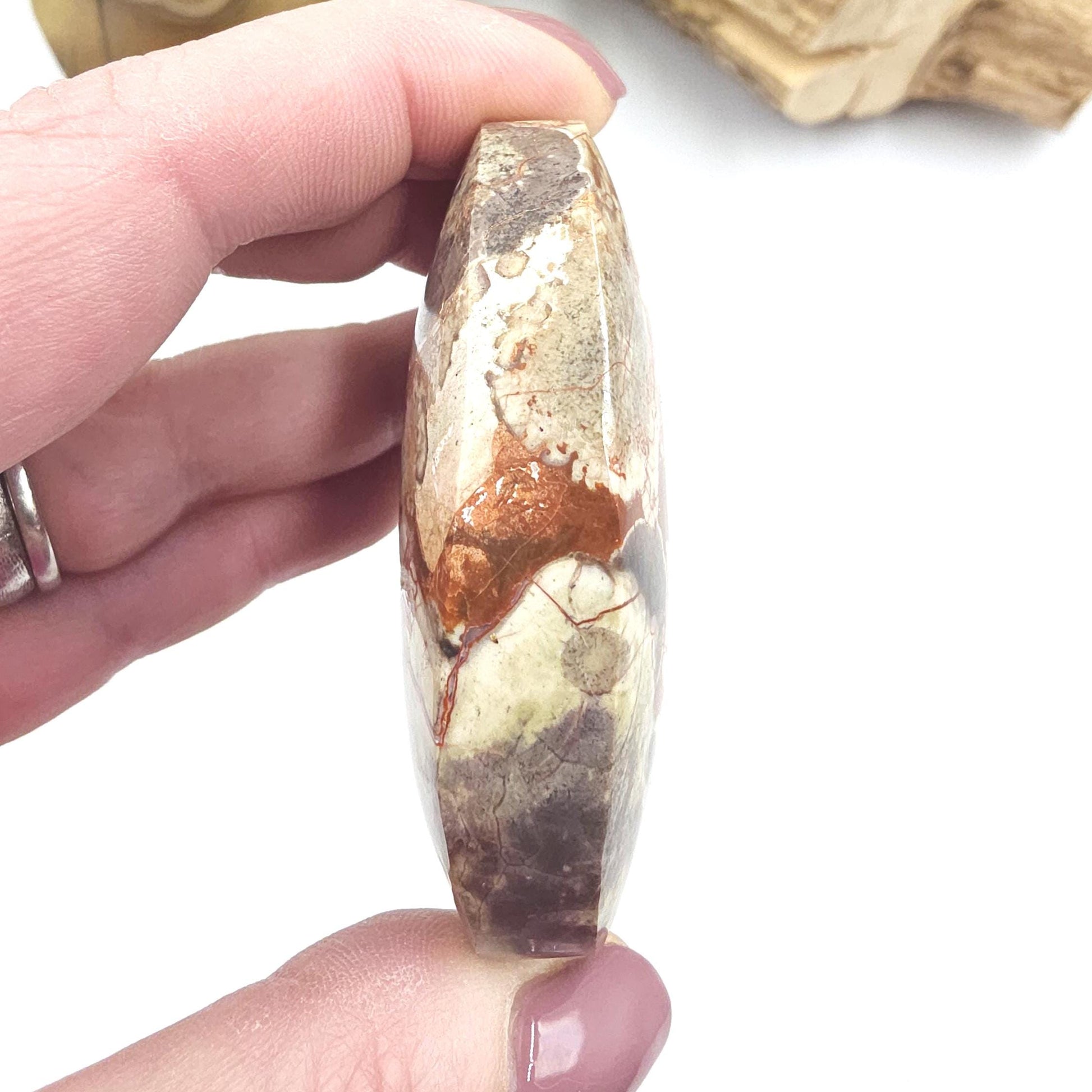 Money Agate Palm Stone – Abundance, Stability & Root Chakra Crystal, 100g