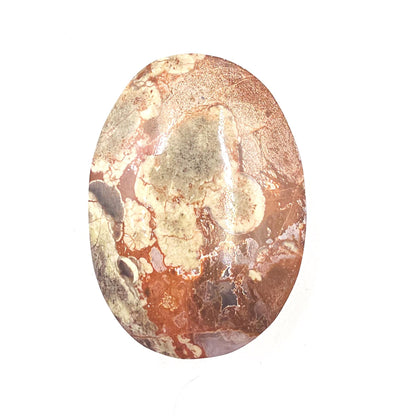 Money Agate Palm Stone – Abundance, Stability & Root Chakra Crystal, 100g