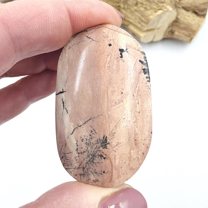 Picture Jasper Palm Stone – Grounding, Stability & Earth Connection Crystal, 35g