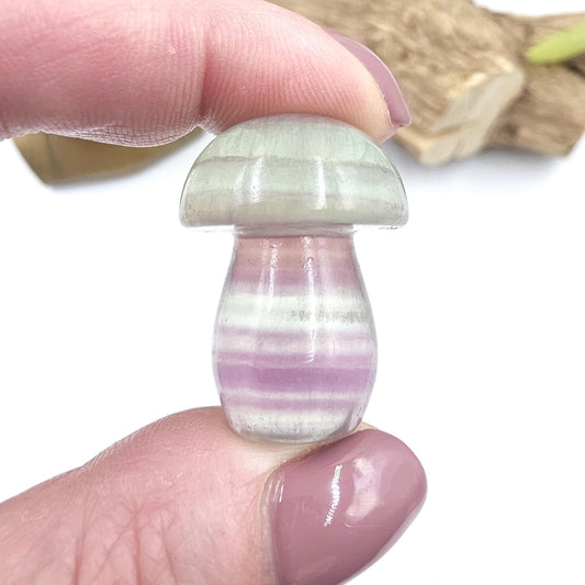 Fluorite Mushroom Carving – Clarity, Focus & Third Eye Chakra Crystal, 23g