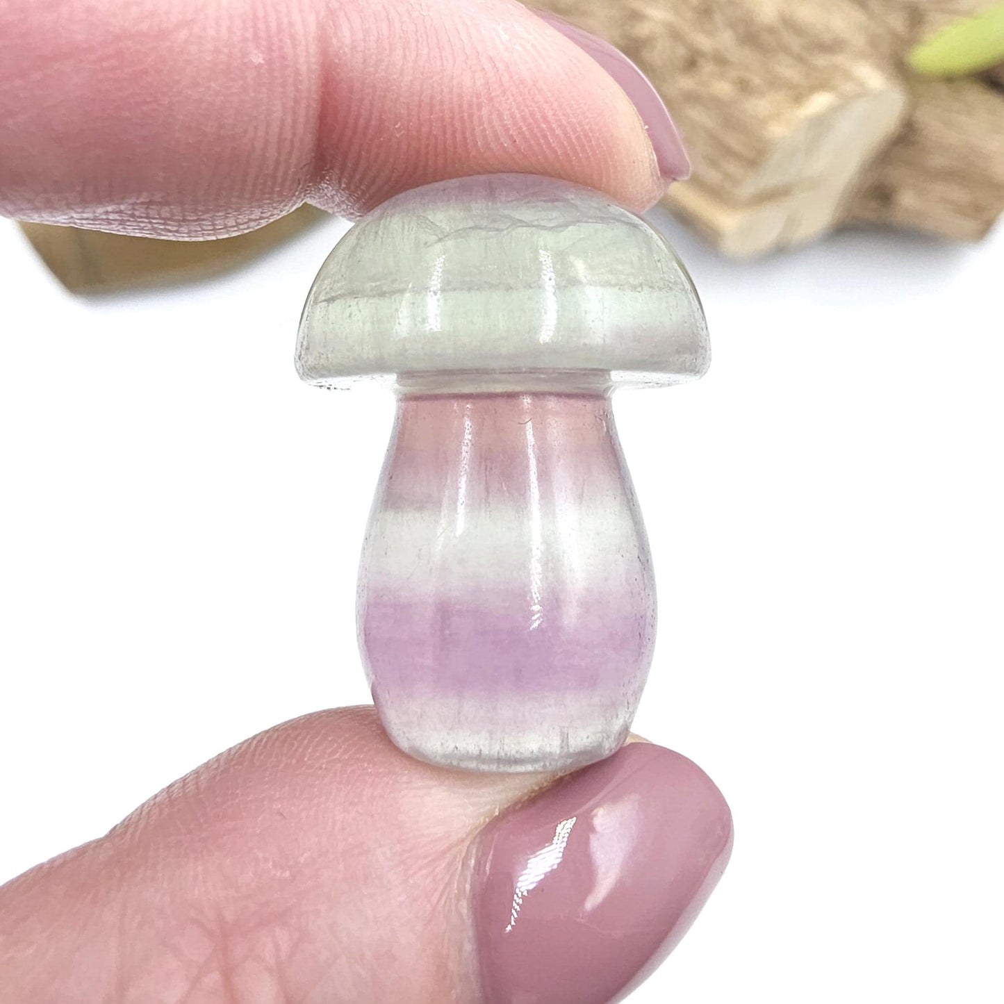 Fluorite Mushroom Carving – Clarity, Focus & Third Eye Chakra Crystal, 23g