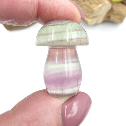 Fluorite Mushroom Carving – Clarity, Focus & Third Eye Chakra Crystal, 23g