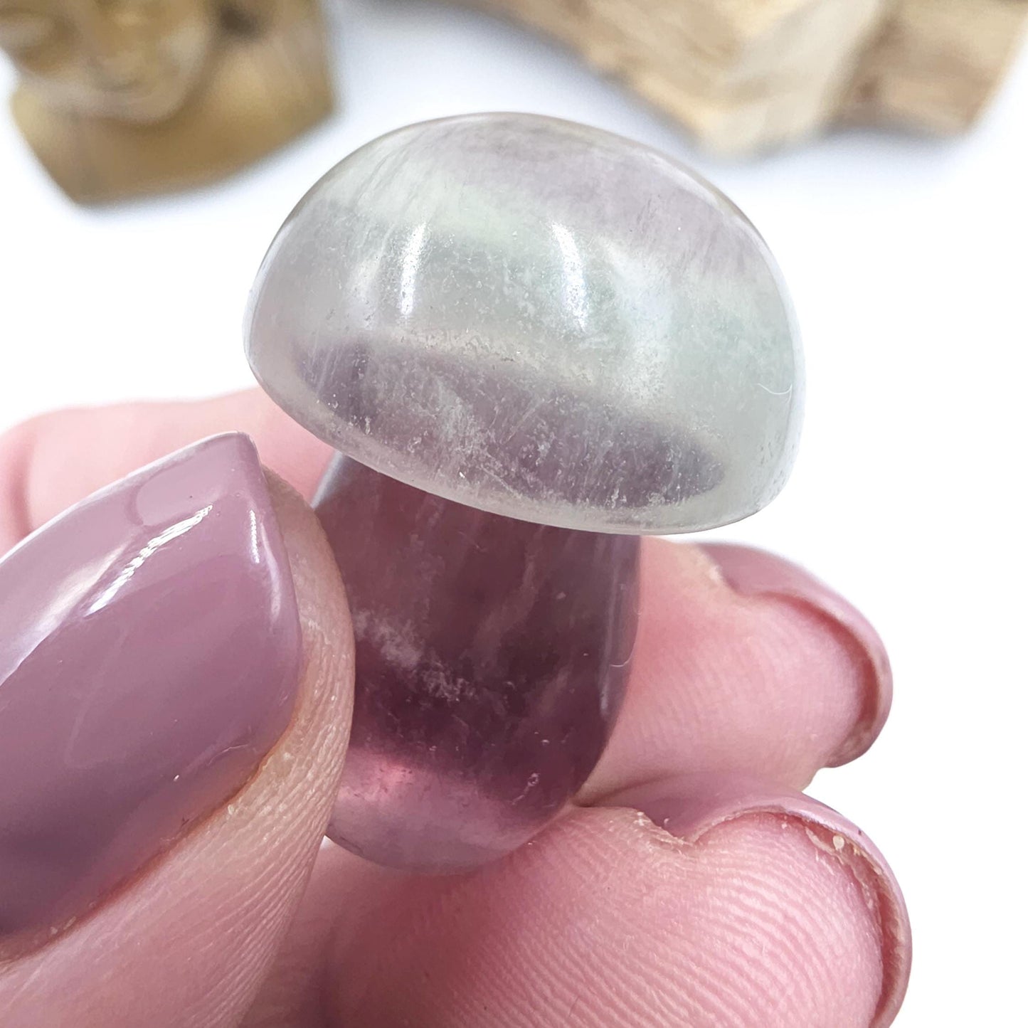 Fluorite Mushroom Carving – Clarity, Focus & Third Eye Chakra Crystal, 23g