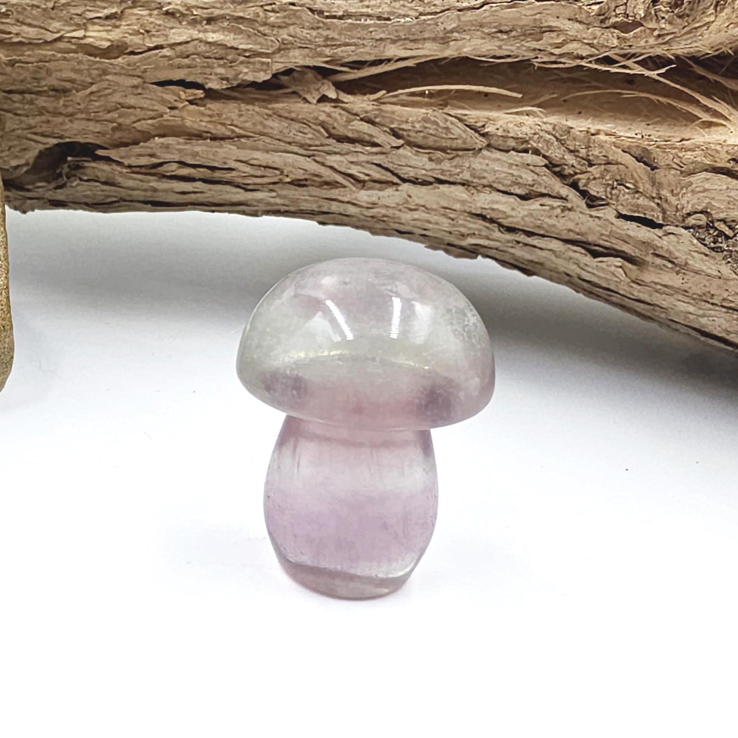 Fluorite Mushroom Carving – Clarity, Focus & Third Eye Chakra Crystal, 23g