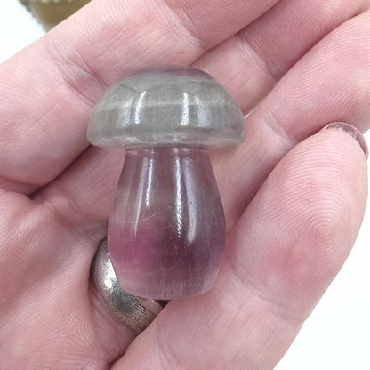 Fluorite Mushroom Carving – Clarity, Focus & Third Eye Chakra Crystal, 23g