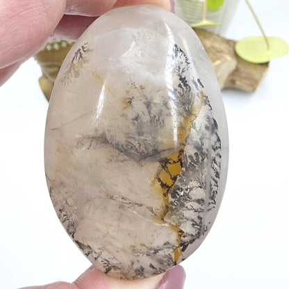 Large Rare Dendritic Quartz Palm Stone – Clarity, Growth and Root & Crown Chakra Crystal, 155g