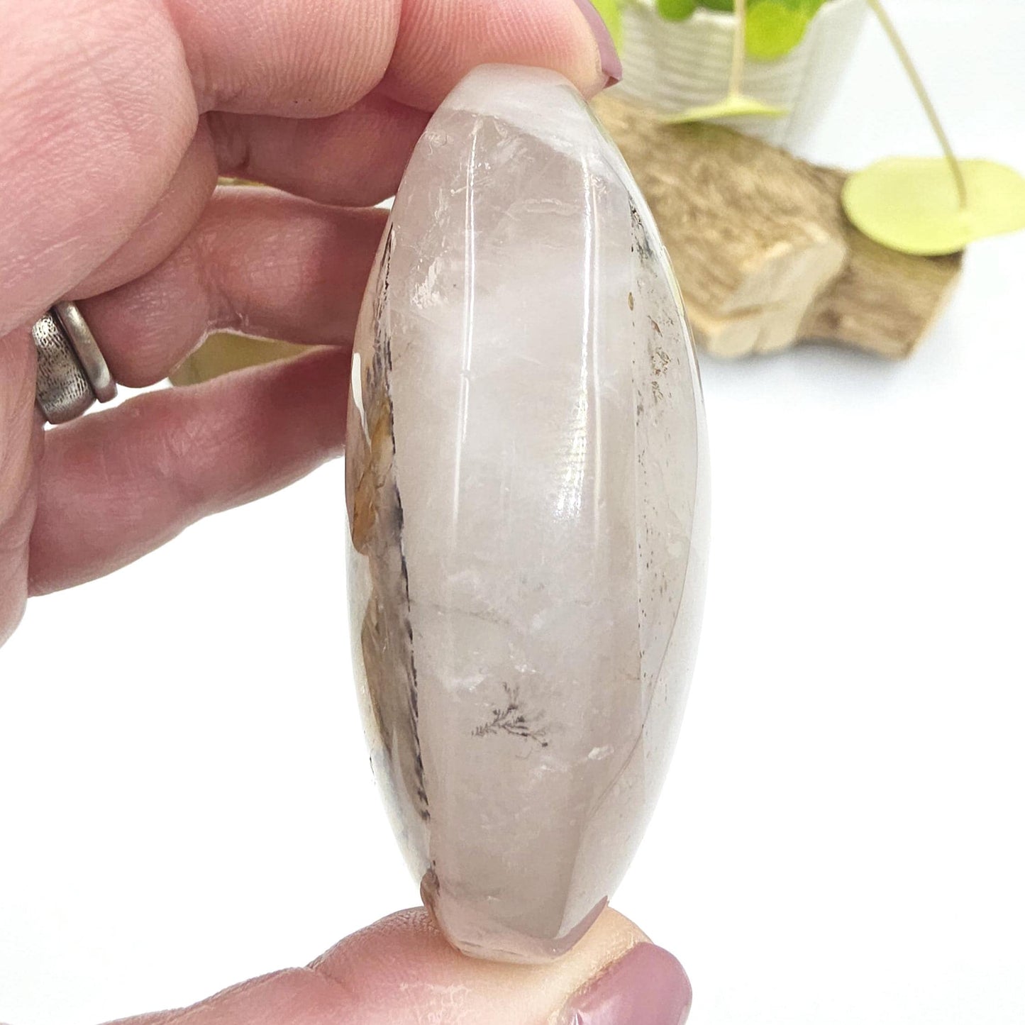 Large Rare Dendritic Quartz Palm Stone – Clarity, Growth and Root & Crown Chakra Crystal, 155g