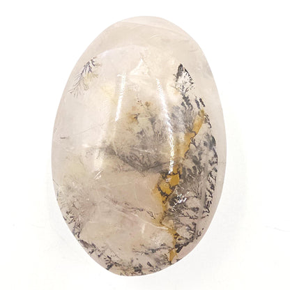 Large Rare Dendritic Quartz Palm Stone – Clarity, Growth and Root & Crown Chakra Crystal, 155g