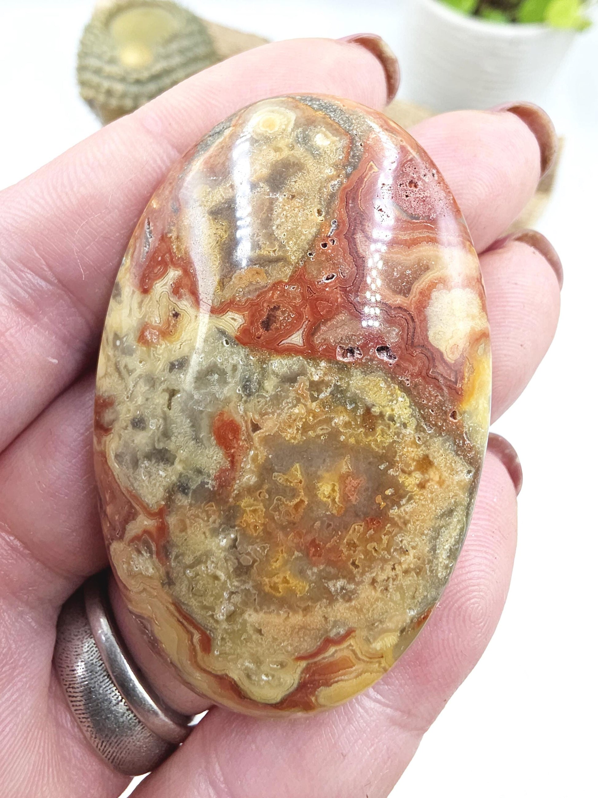 Crazy Lace Agate Palm Stone – Joy, Stability & Uplifting Energy Crystal, 40g