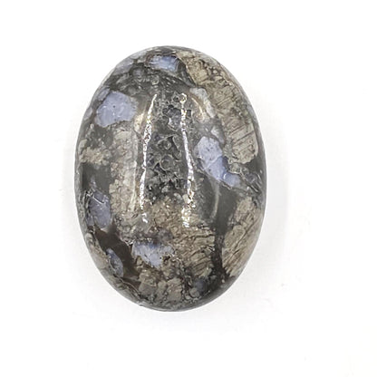 Que Sera (Llanite) Palm Stone – Positivity, Empowerment & Spiritual Growth Crystal, 100g