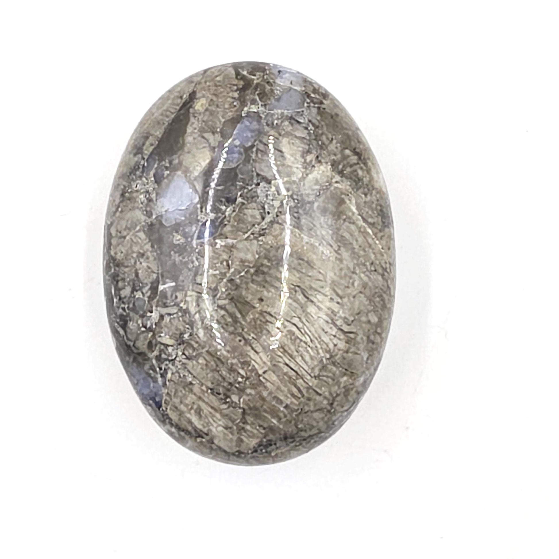 Que Sera (Llanite) Palm Stone – Positivity, Empowerment & Spiritual Growth Crystal, 100g