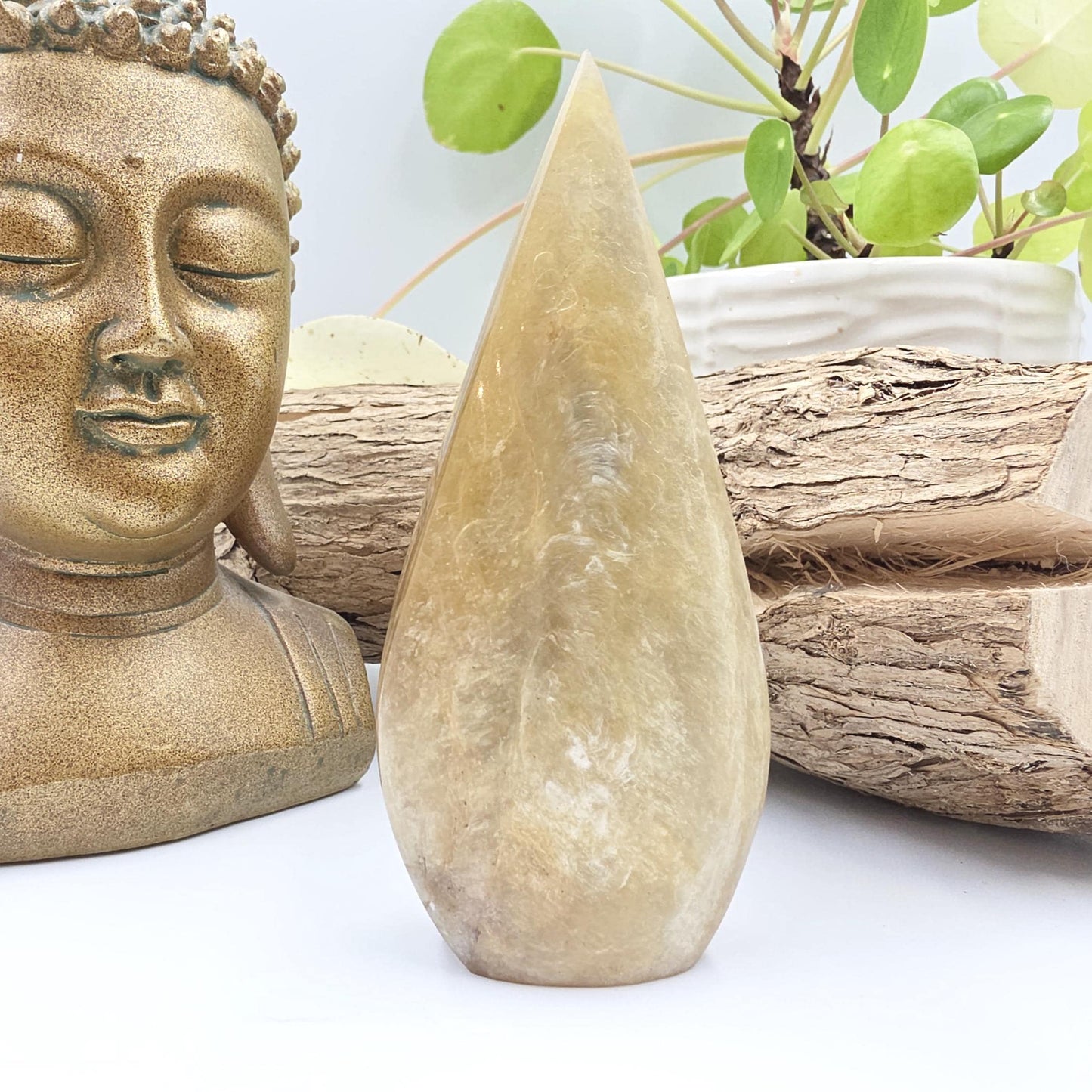 Flashy Golden Mica (Muscovite) Freeform with Green Mica Inclusion – Confidence & Growth Crystal, 140g