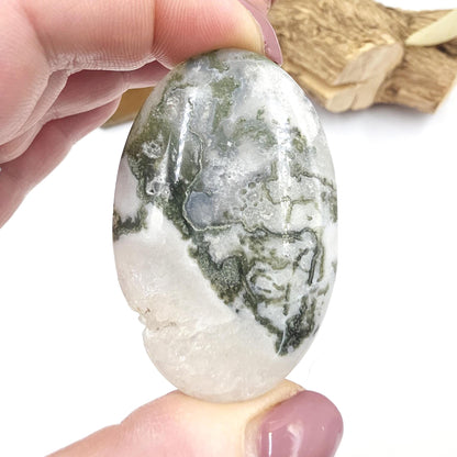 Drusy Moss Agate Palm Stone – Grounding & Growth Healing Crystal, 40g