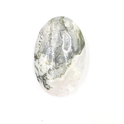 Drusy Moss Agate Palm Stone – Grounding & Growth Healing Crystal, 40g