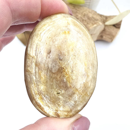 Golden Mica (Muscovite) Palm Stone – Confidence, Clarity & Emotional Strength Healing Crystal, 70g