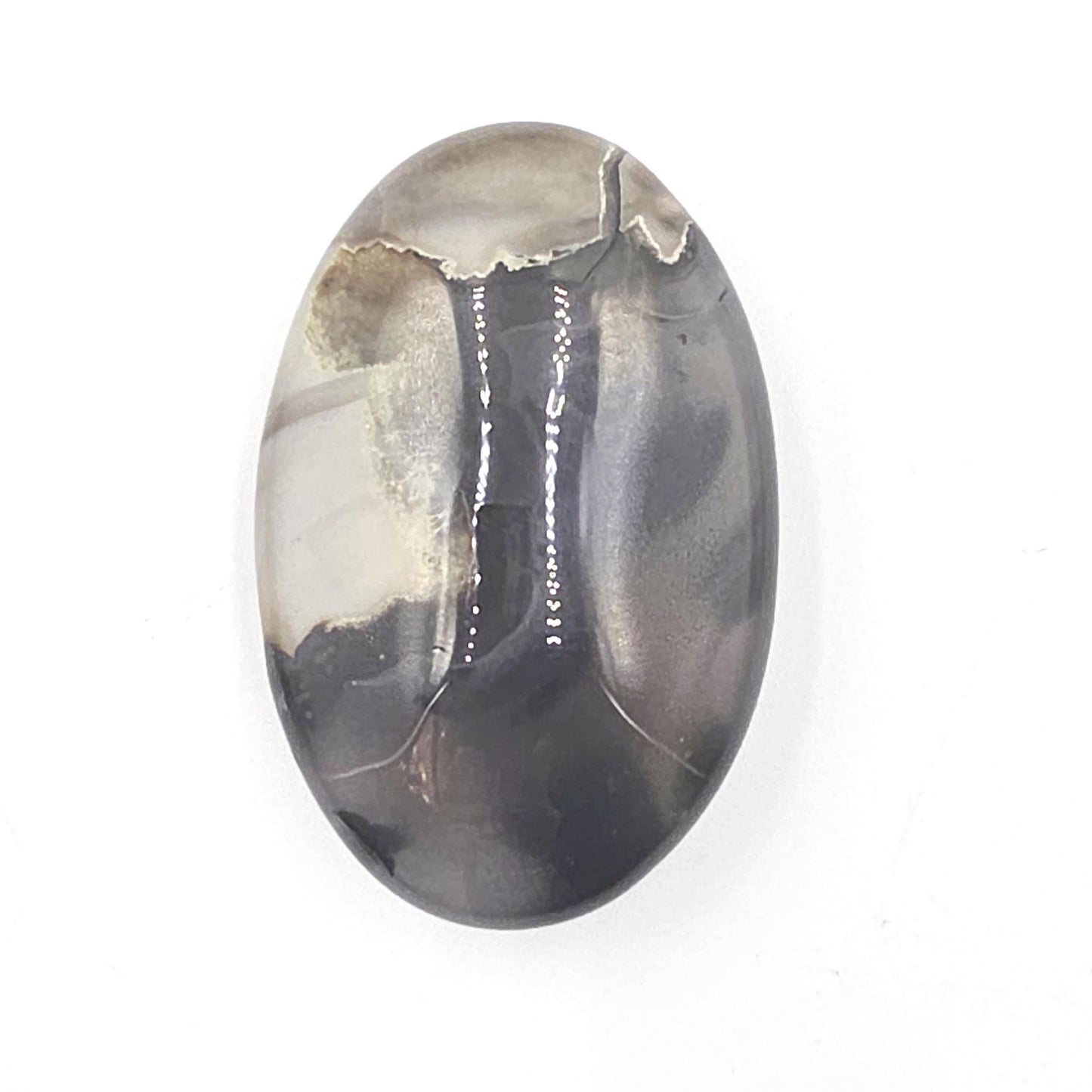 Volcanic Agate Palm Stone UV Reactive – Grounding, Transformation & Emotional Balance Crystal, 45g