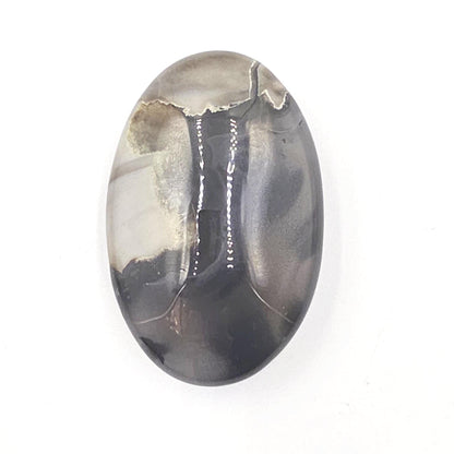 Volcanic Agate Palm Stone UV Reactive – Grounding, Transformation & Emotional Balance Crystal, 45g