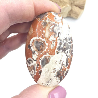 Money Agate Palm Stone – Abundance, Stability & Root Chakra Crystal, 35g