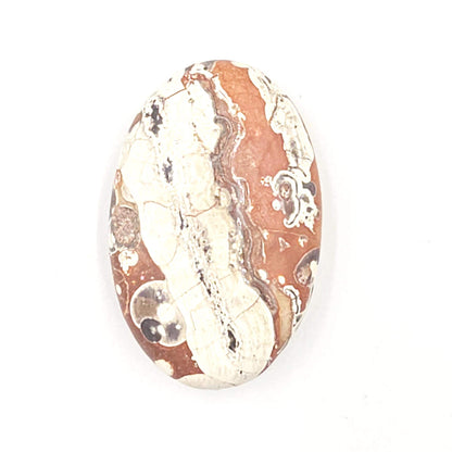 Money Agate Palm Stone – Abundance, Stability & Root Chakra Crystal, 35g
