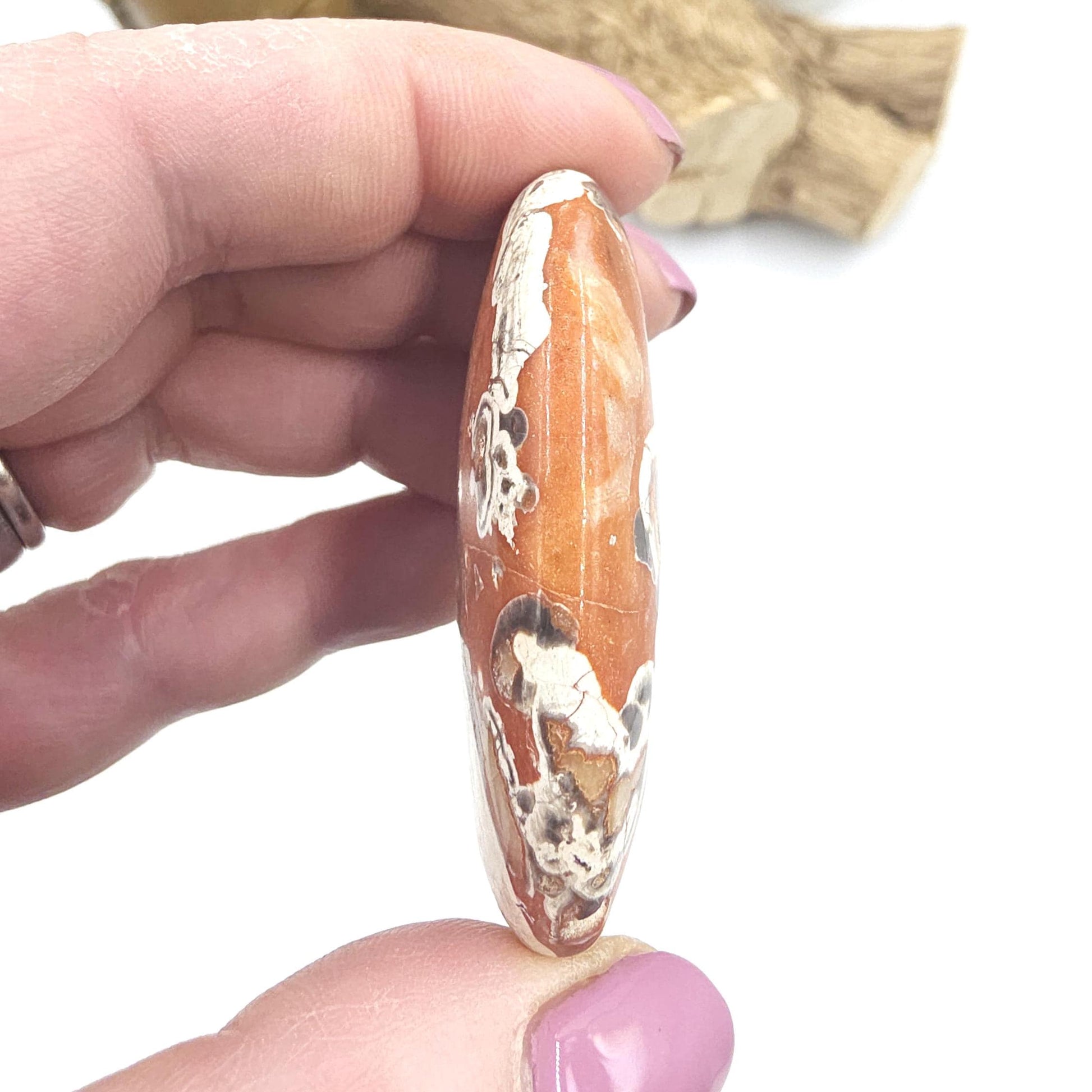Money Agate Palm Stone – Abundance, Stability & Root Chakra Crystal, 35g