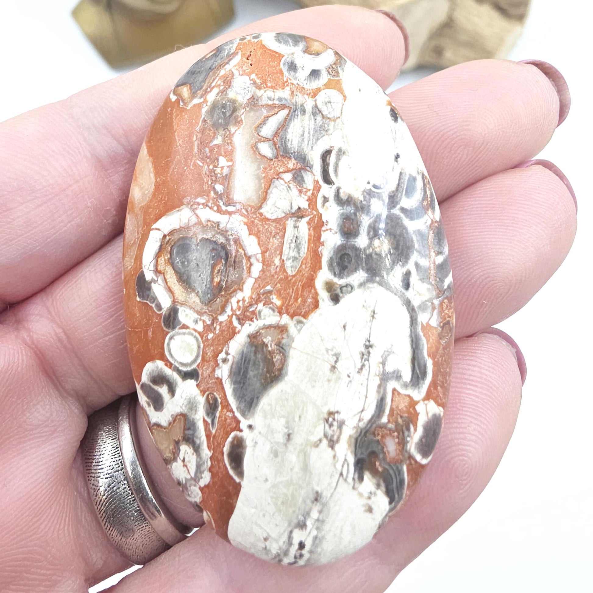Money Agate Palm Stone – Abundance, Stability & Root Chakra Crystal, 35g