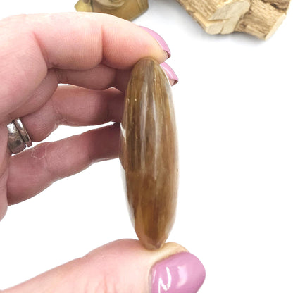Golden Mica (Muscovite) Palm Stone – Confidence, Clarity & Emotional Strength Healing Crystal, 60g