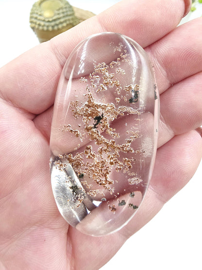 Rare High Grade Minimalistic Garden Quartz Lodolite Palm Stone – Transformation & Spiritual Growth Crystal, 40g