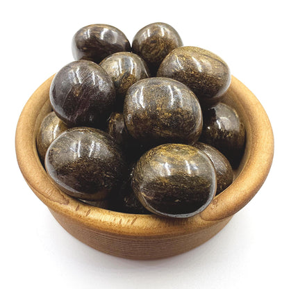 Bronzite Tumble Stones – Protection, Confidence & Emotional Balance Crystal, 2-3cm