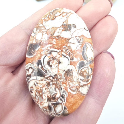 Money Agate Palm Stone – Abundance, Stability & Root Chakra Crystal, 35g