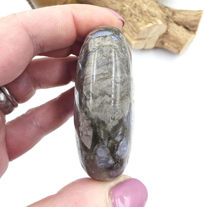 Que Sera (Llanite) Palm Stone – Positivity, Empowerment & Spiritual Growth Crystal, 100g
