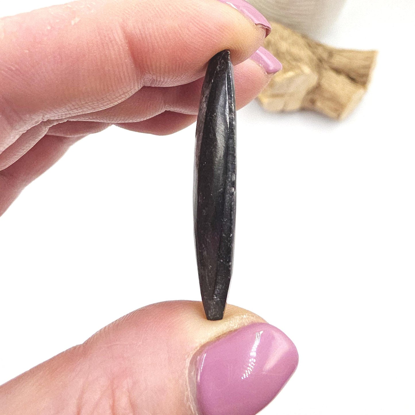 Orthoceras Small Point Flat Specimen – Ancient Fossil, Grounding & Transformation Crystal, 4.4cm