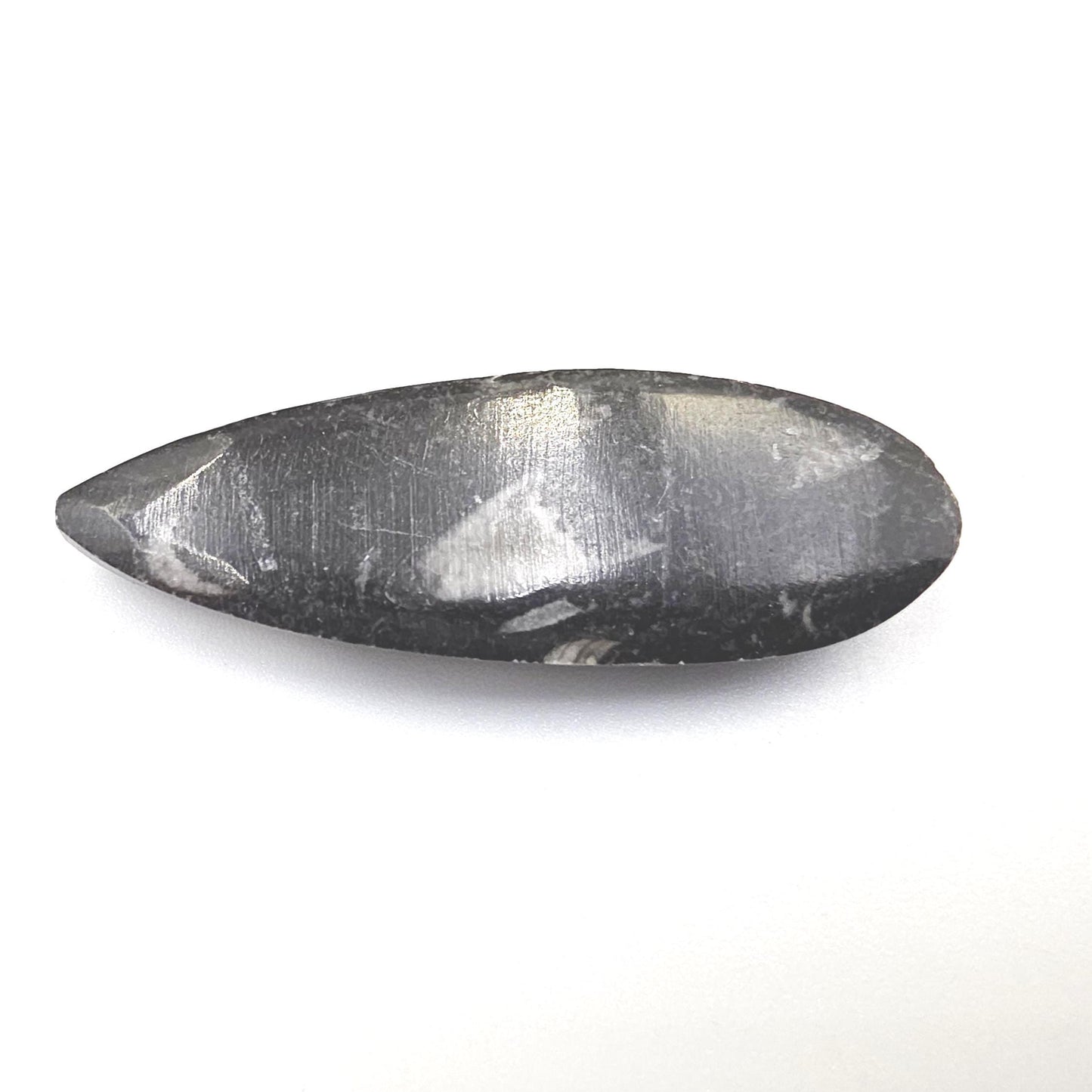 Orthoceras Small Point Flat Specimen – Ancient Fossil, Grounding & Transformation Crystal, 4.4cm
