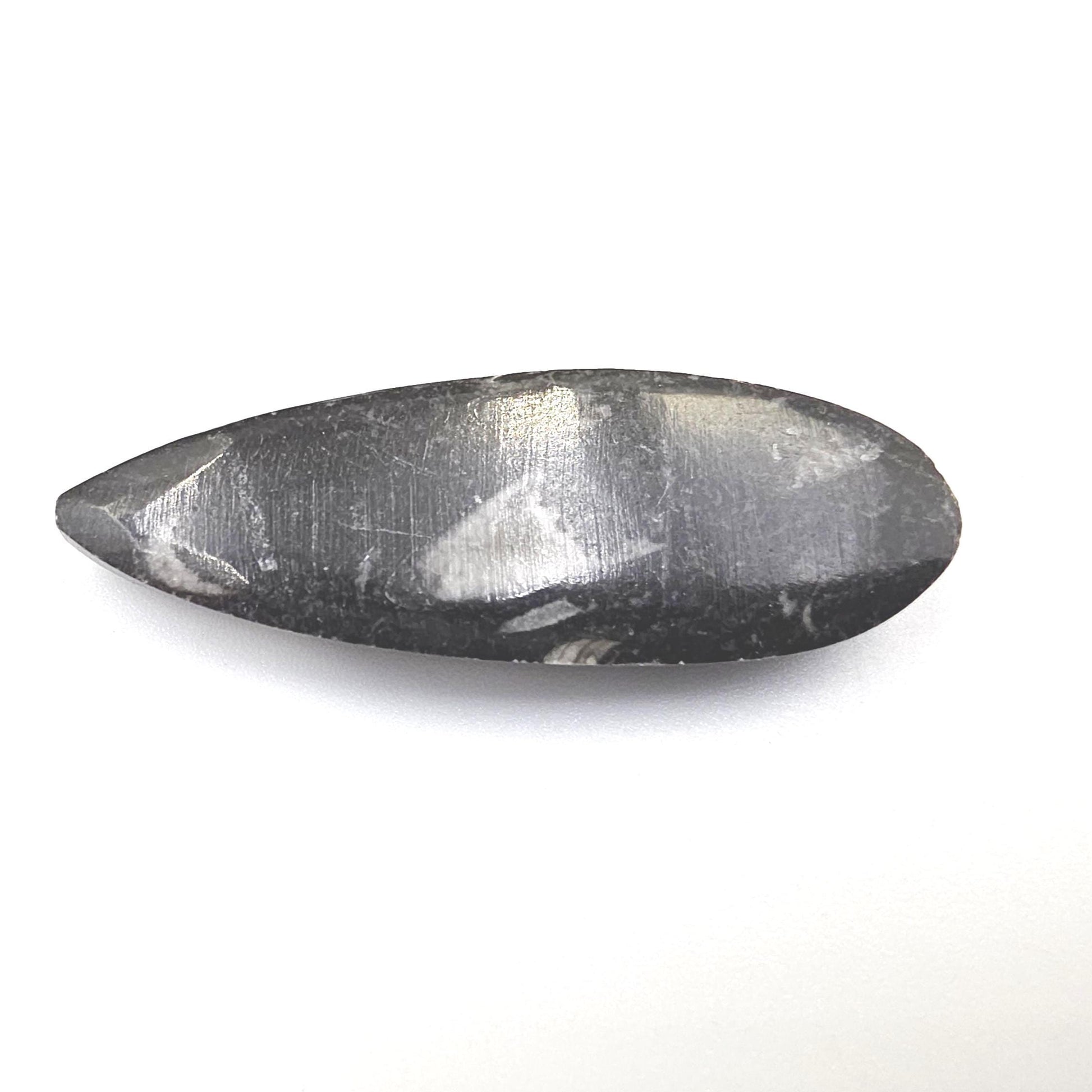 Orthoceras Small Point Flat Specimen – Ancient Fossil, Grounding & Transformation Crystal, 4.4cm