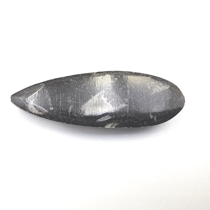 Orthoceras Small Point Flat Specimen – Ancient Fossil, Grounding & Transformation Crystal, 4.4cm