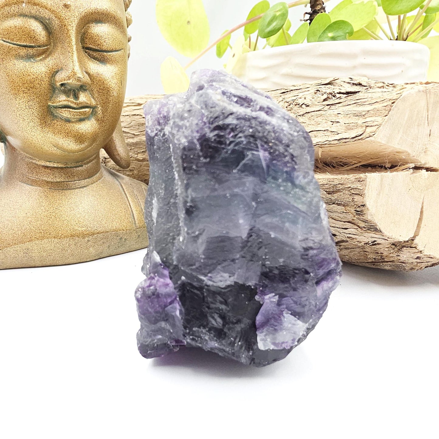 Raw Fluorite Specimen – Mental Clarity, Focus & Natural Protective Energy Crystal, 490g