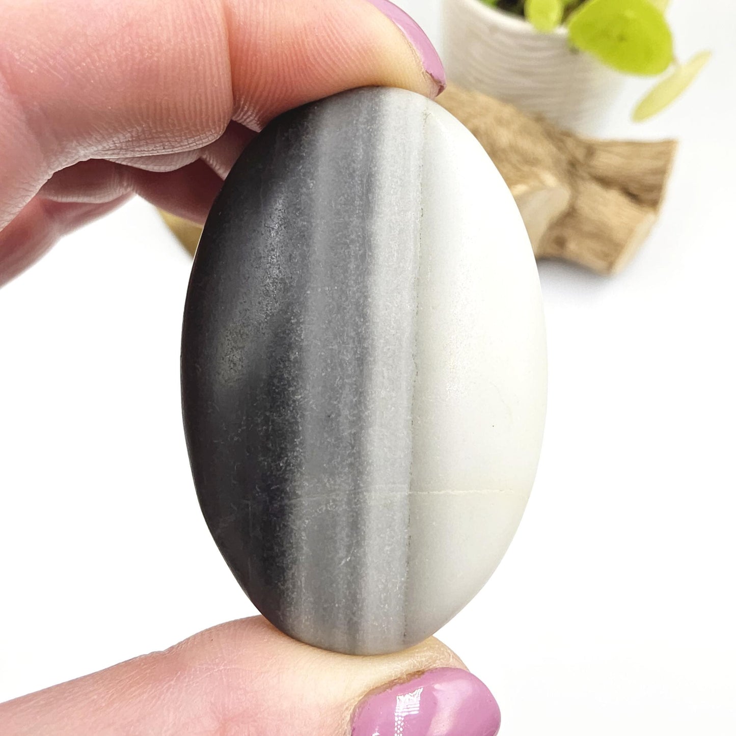Tai Chi Jasper Palm Stone – Balance, Harmony & Emotional Stability Crystal, 45g
