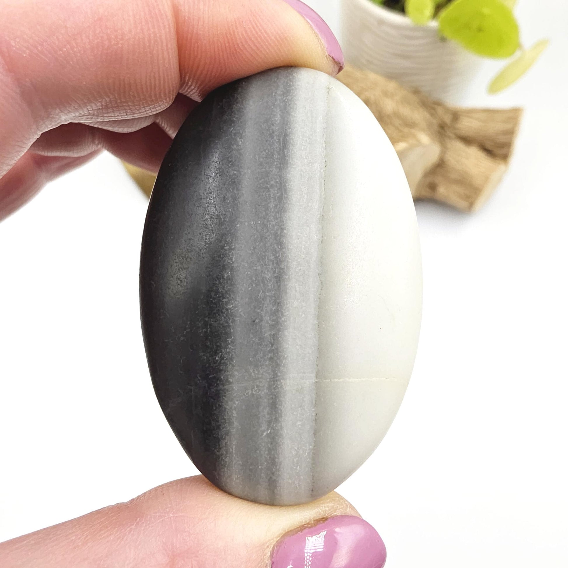 Tai Chi Jasper Palm Stone – Balance, Harmony & Emotional Stability Crystal, 45g