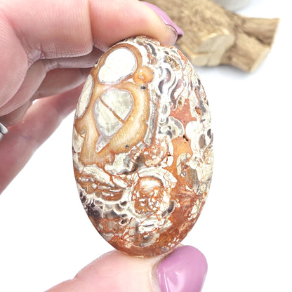 Money Agate Palm Stone – Abundance, Stability & Root Chakra Crystal, 35g