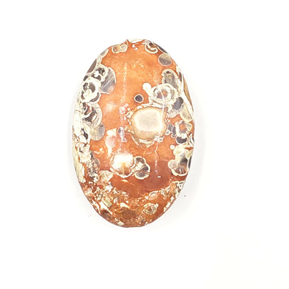 Money Agate Palm Stone – Abundance, Stability & Root Chakra Crystal, 35g